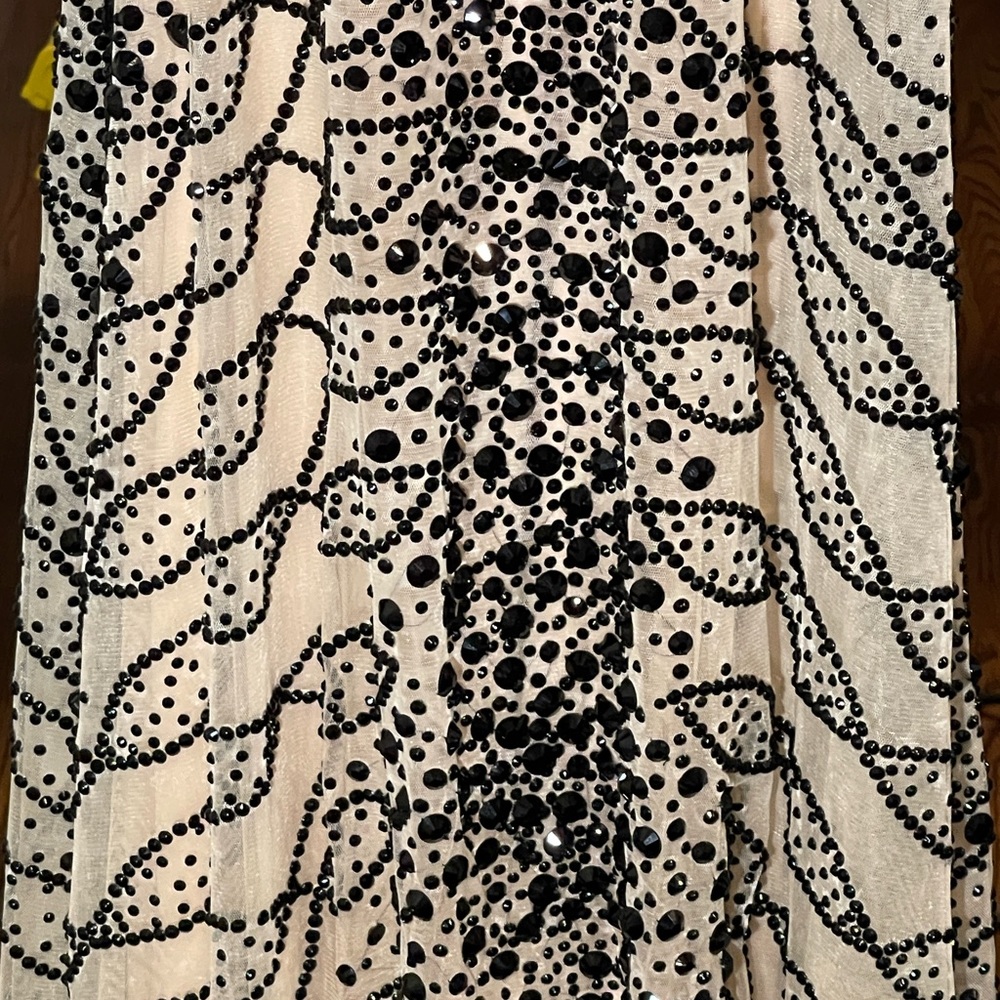 ππ»Vienna Pageant Dress π€π€ - Picture 11 of 14